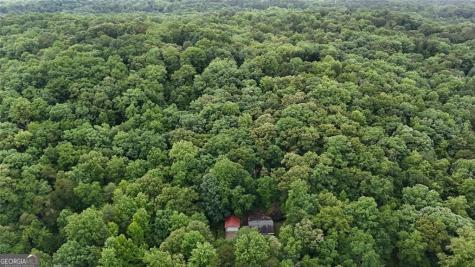 238 Shore Drive Dahlonega GA 30533