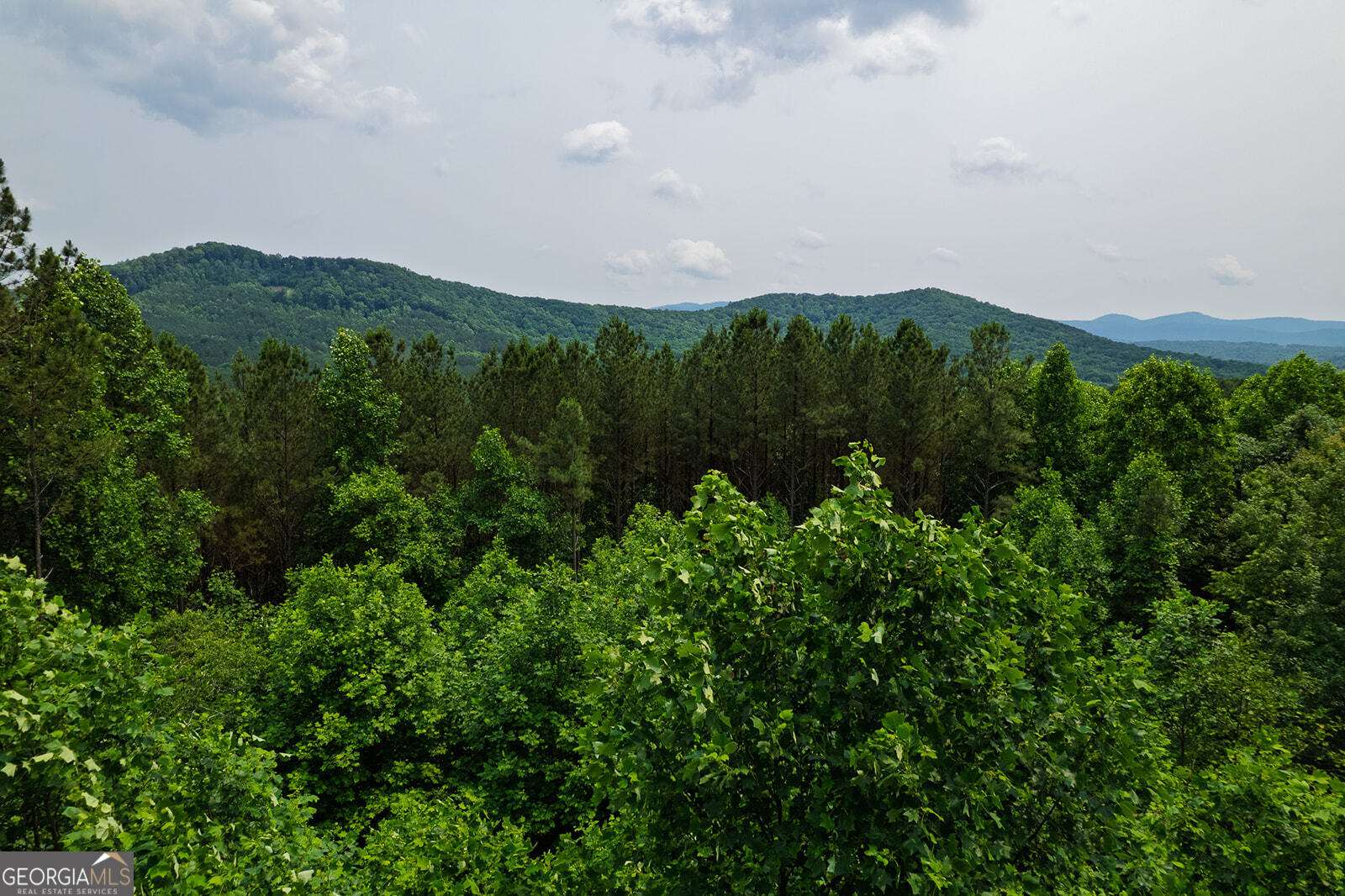 239 Ridge Top Drive Ellijay GA 30536