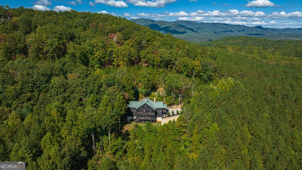 239 Ridge Top Drive Ellijay GA 30536