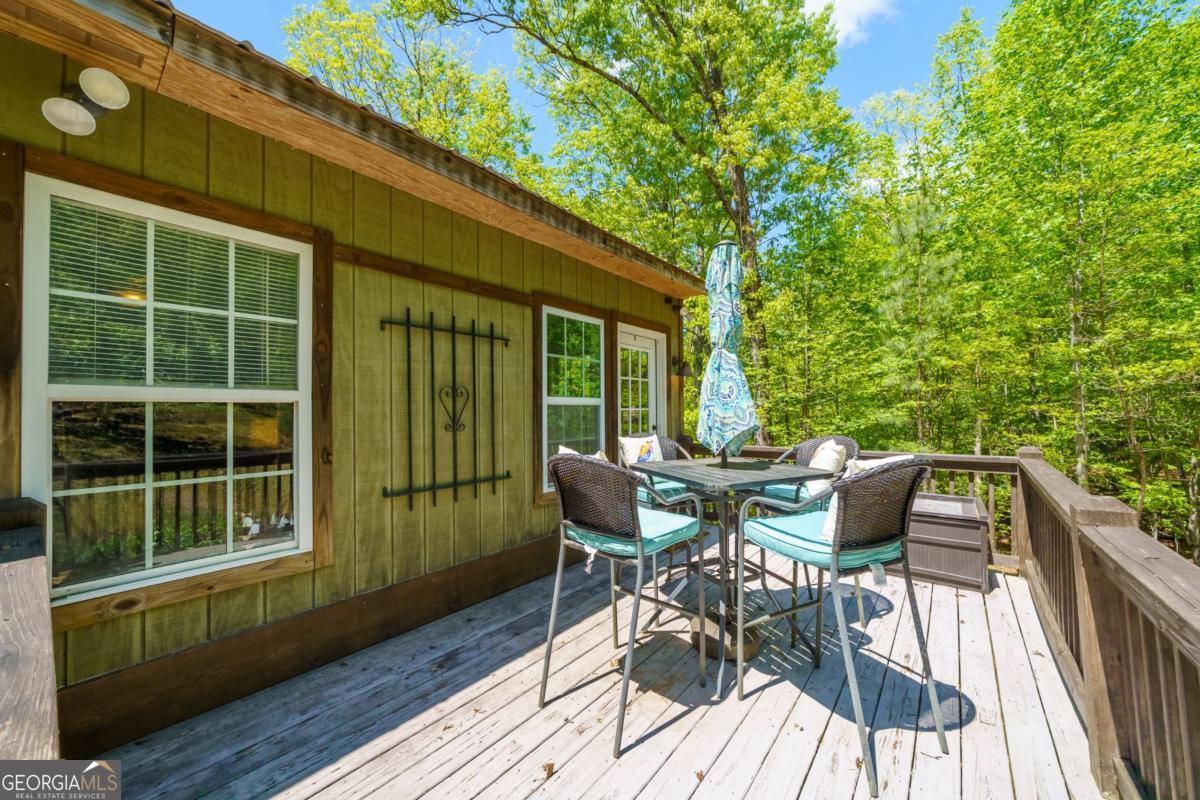 955 Mull Drive Mineral Bluff GA 30559