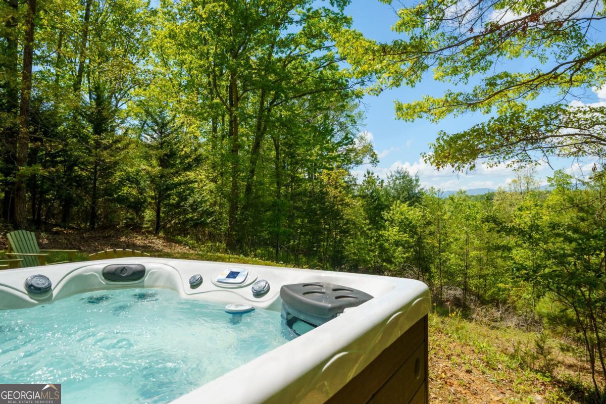 955 Mull Drive Mineral Bluff GA 30559
