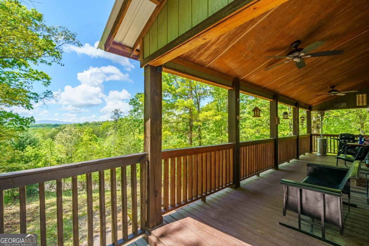 955 Mull Drive Mineral Bluff GA 30559