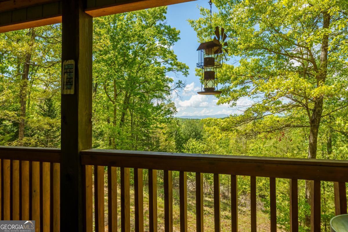 955 Mull Drive Mineral Bluff GA 30559