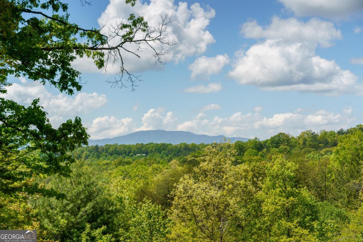 955 Mull Drive Mineral Bluff GA 30559