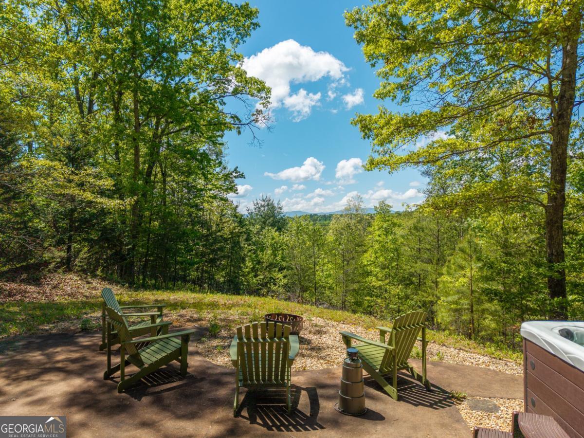 955 Mull Drive Mineral Bluff GA 30559