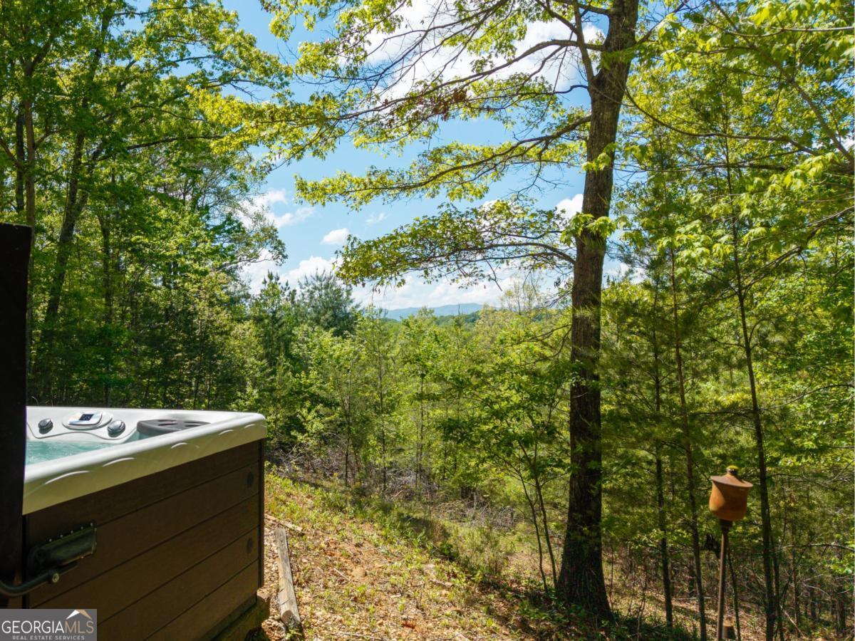 955 Mull Drive Mineral Bluff GA 30559