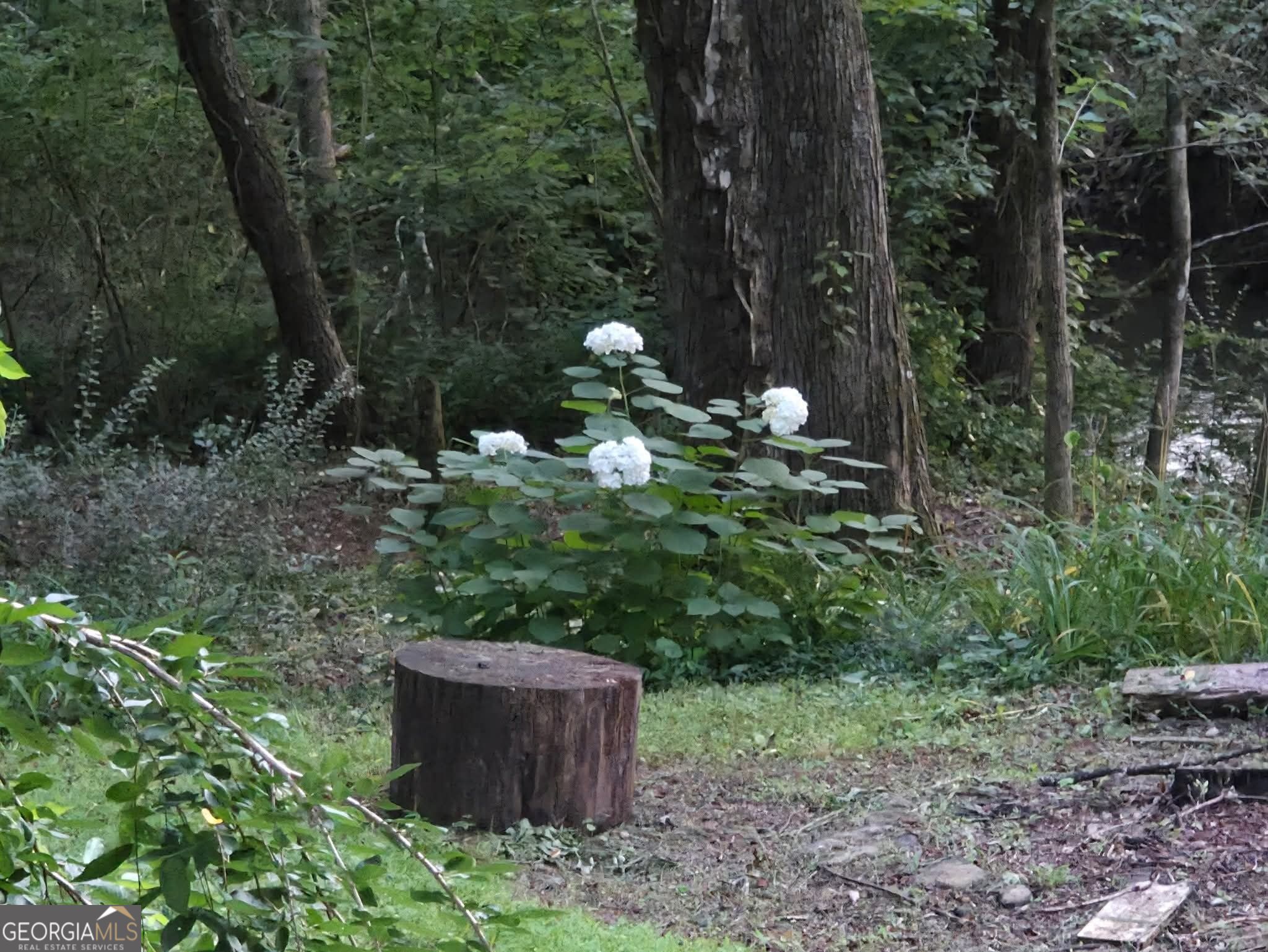 357 Little River Lane Rabun Gap GA 30568