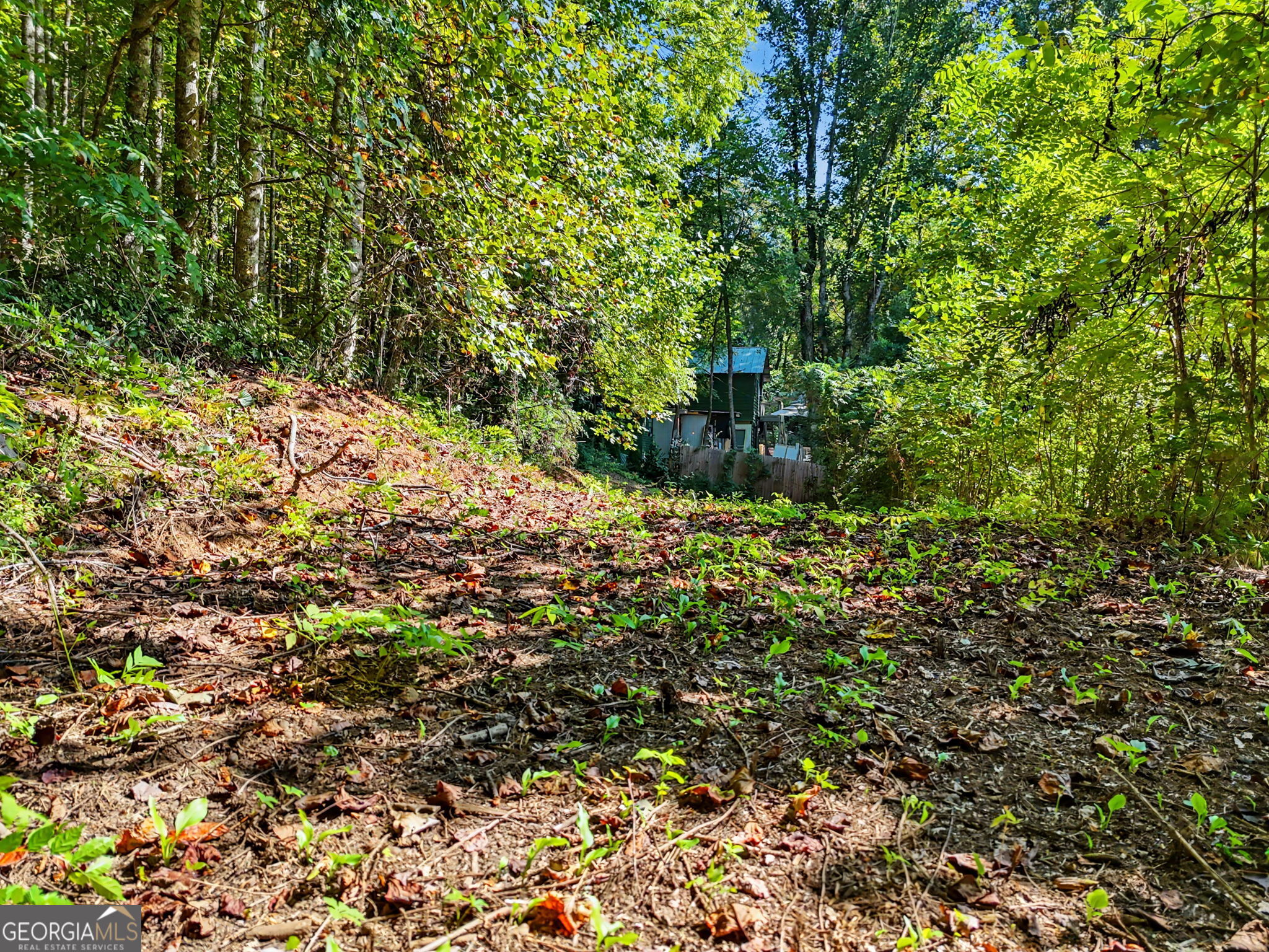 5093 Wolffork Road Rabun Gap GA 30568