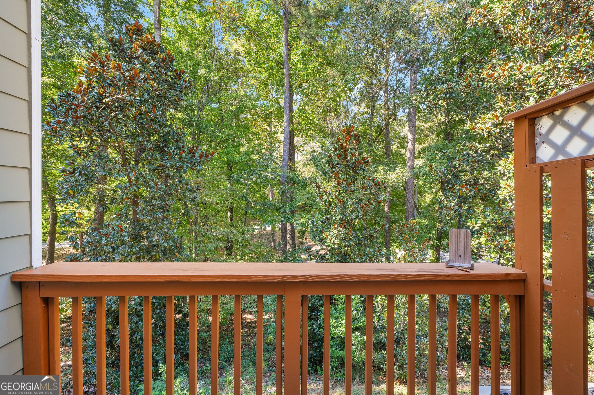 3302 Cameron Trail Peachtree Corners GA 30092