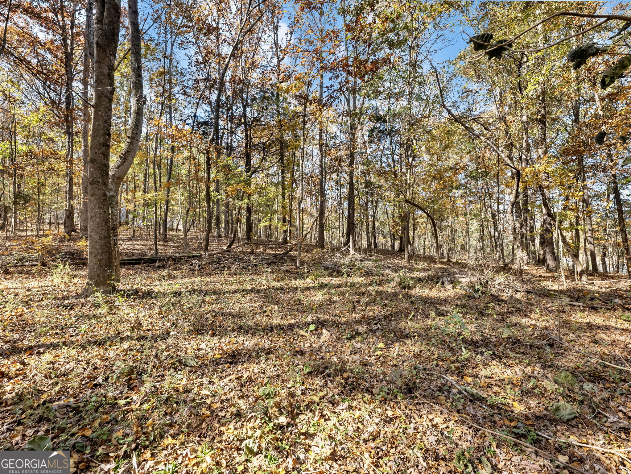 222 Hemlock Drive Stockbridge GA 30281