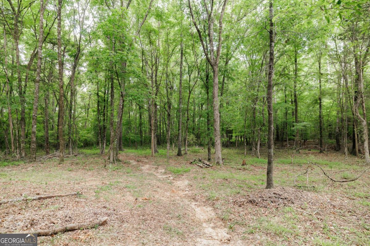 1967 Calhoun Falls Highway Elberton GA 30635