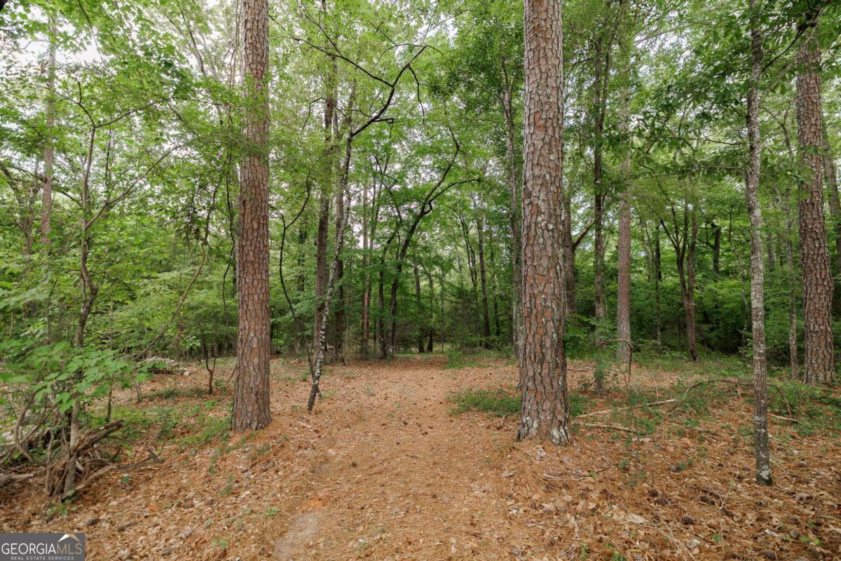1967 Calhoun Falls Highway Elberton GA 30635