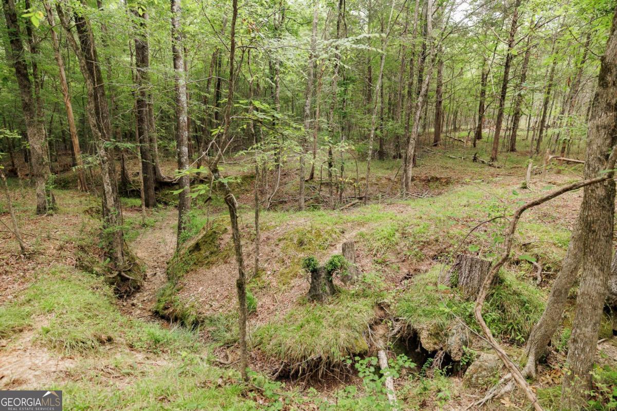 1967 Calhoun Falls Highway Elberton GA 30635
