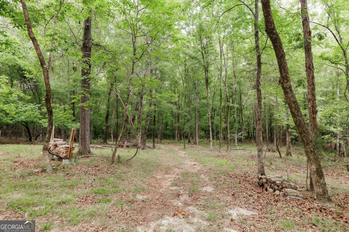 1967 Calhoun Falls Highway Elberton GA 30635