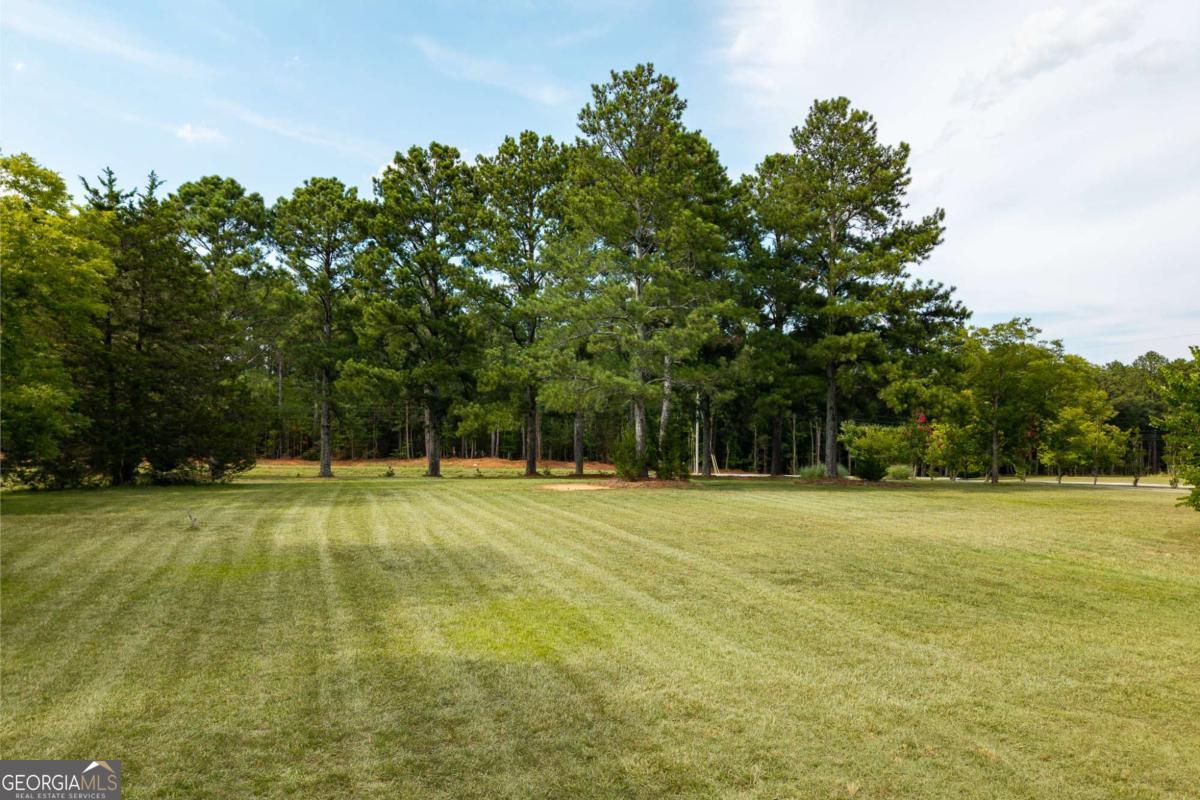 1967 Calhoun Falls Highway Elberton GA 30635