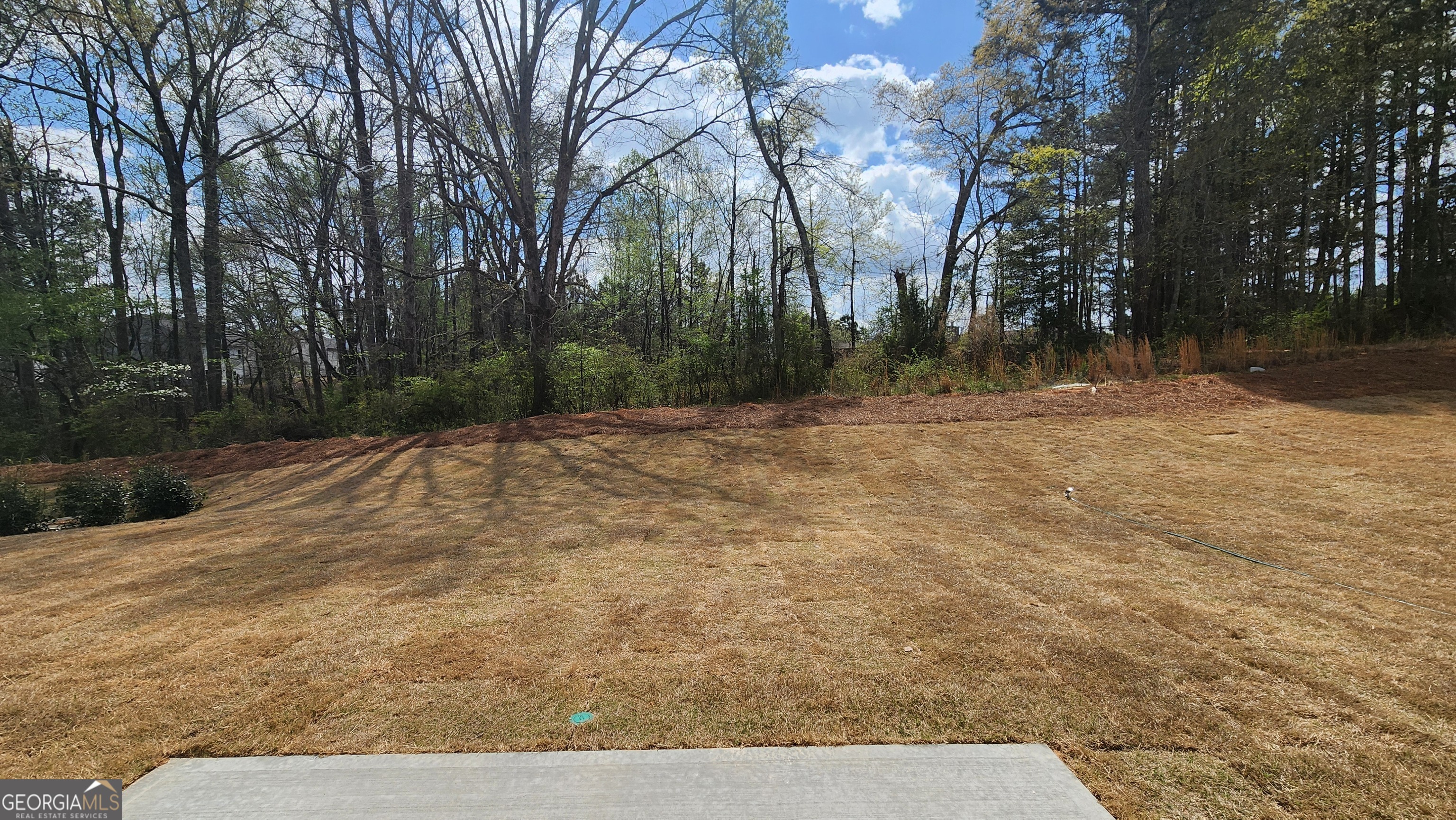 226 Silverleaf Trail Bethlehem GA 30620