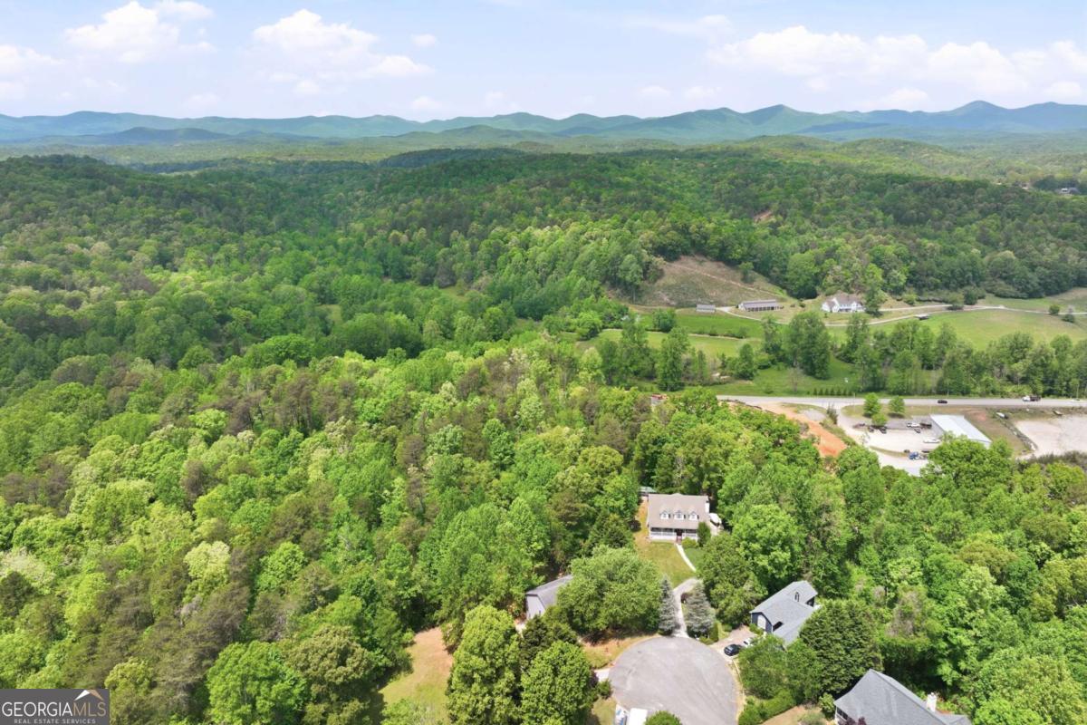 31 Alta Mont Court Dahlonega GA 30533