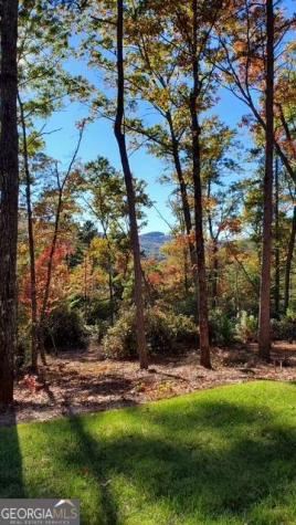 206 Celestial Circle Clayton GA 30525
