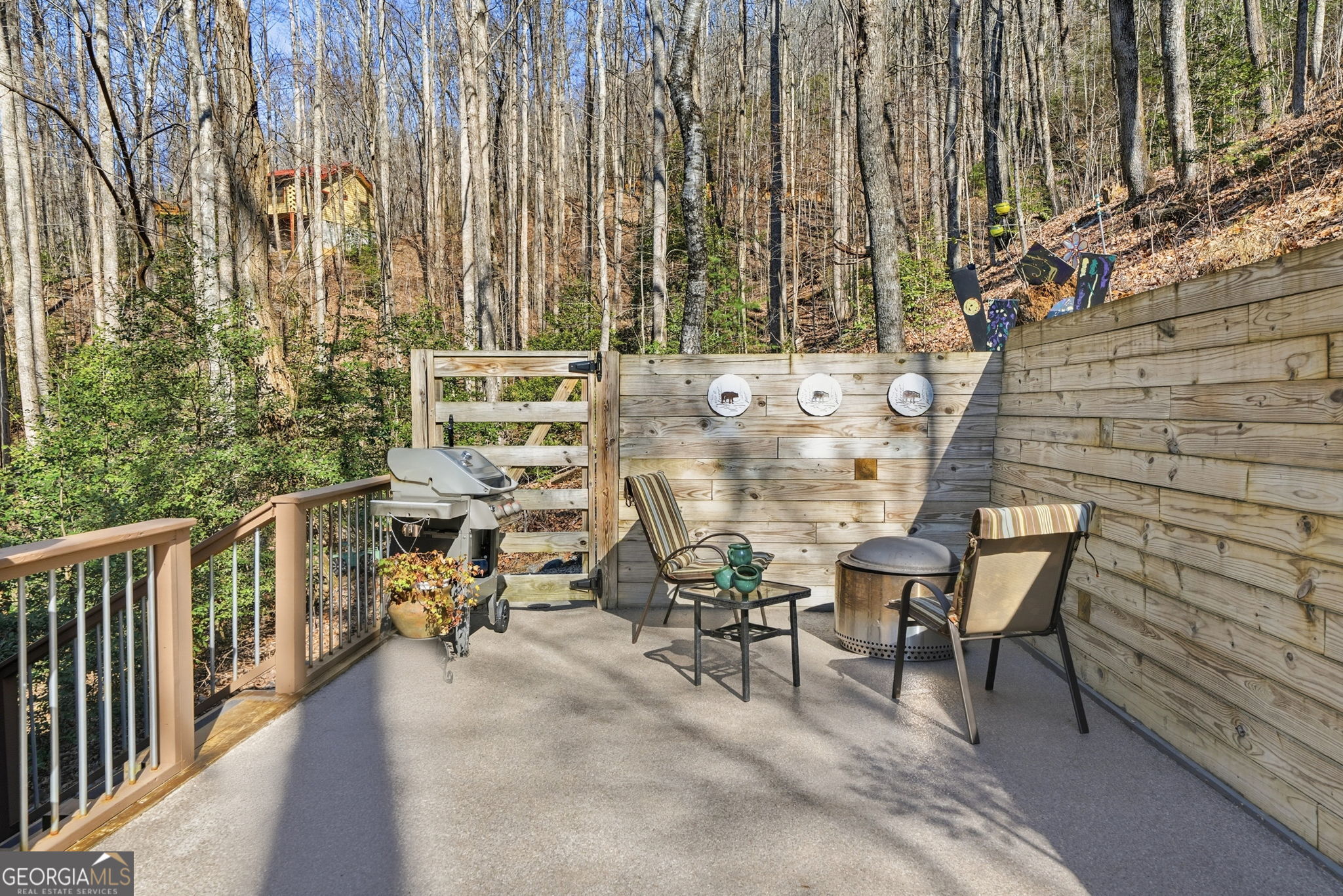 266 Chimney Rock Road Cherry Log GA 30522