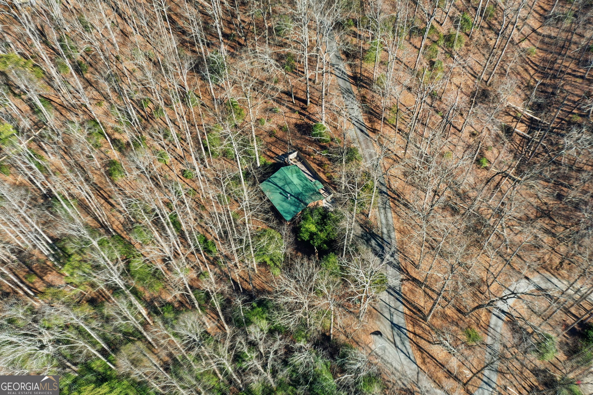 266 Chimney Rock Road Cherry Log GA 30522