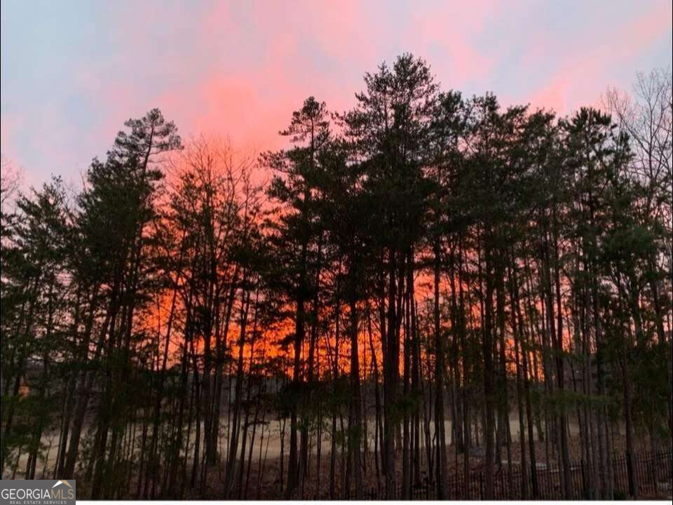 609 Longleaf Trace Canton GA 30114