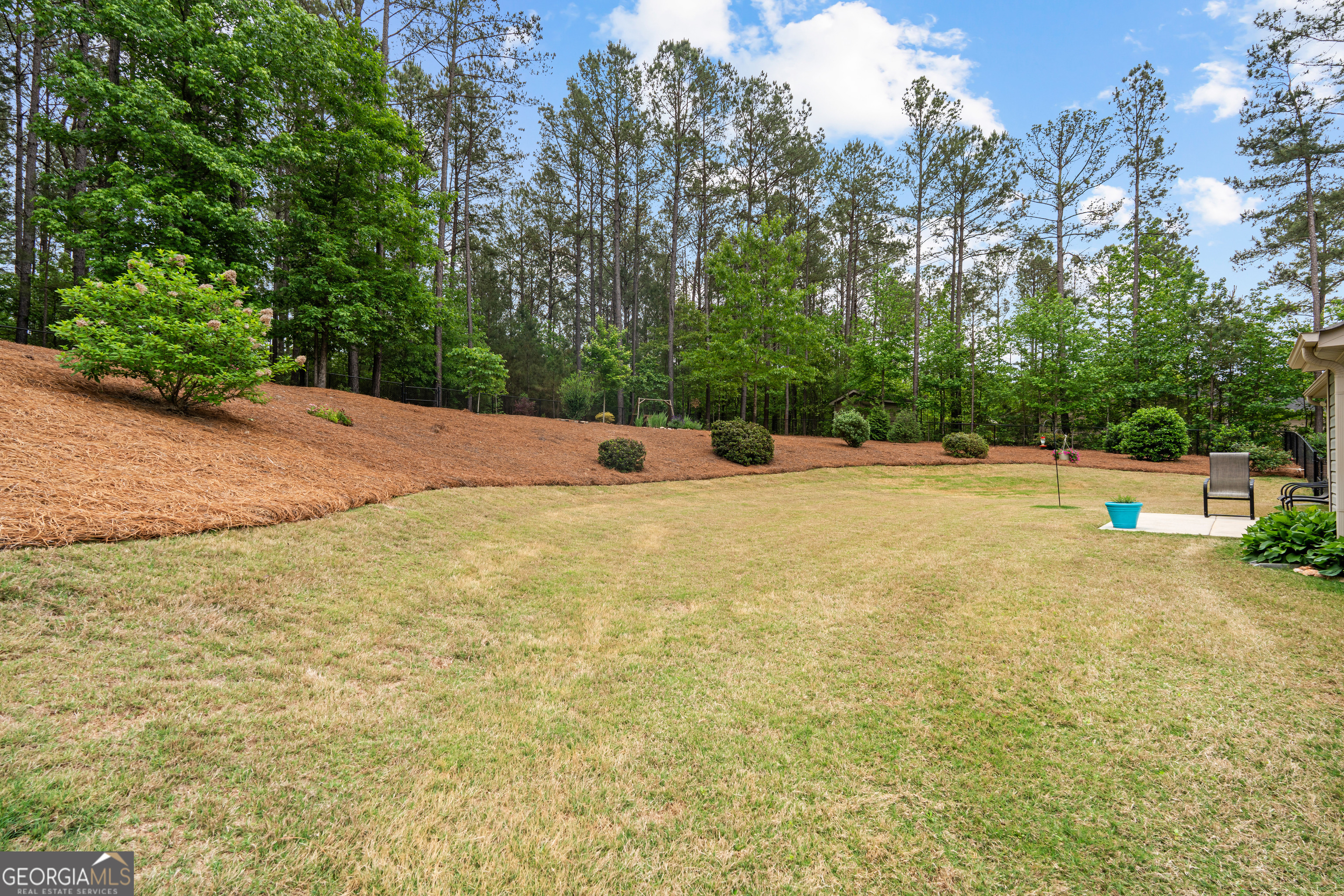 29 Concord Court Senoia GA 30276