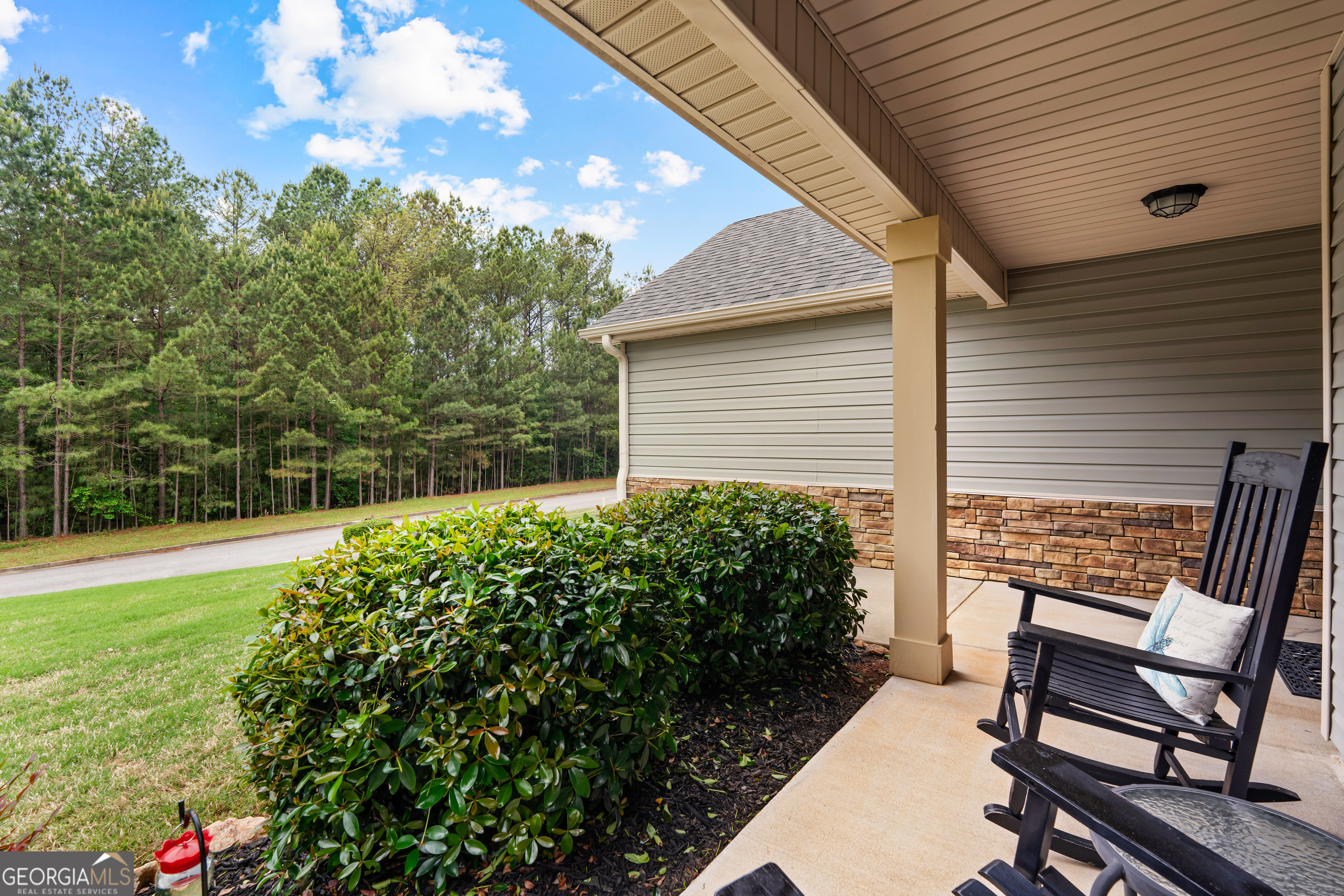 29 Concord Court Senoia GA 30276
