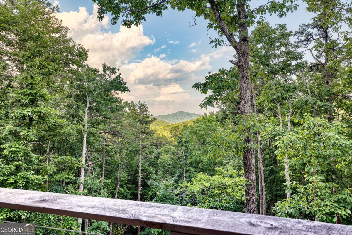 281 Raintree Bend Blue Ridge GA 30513