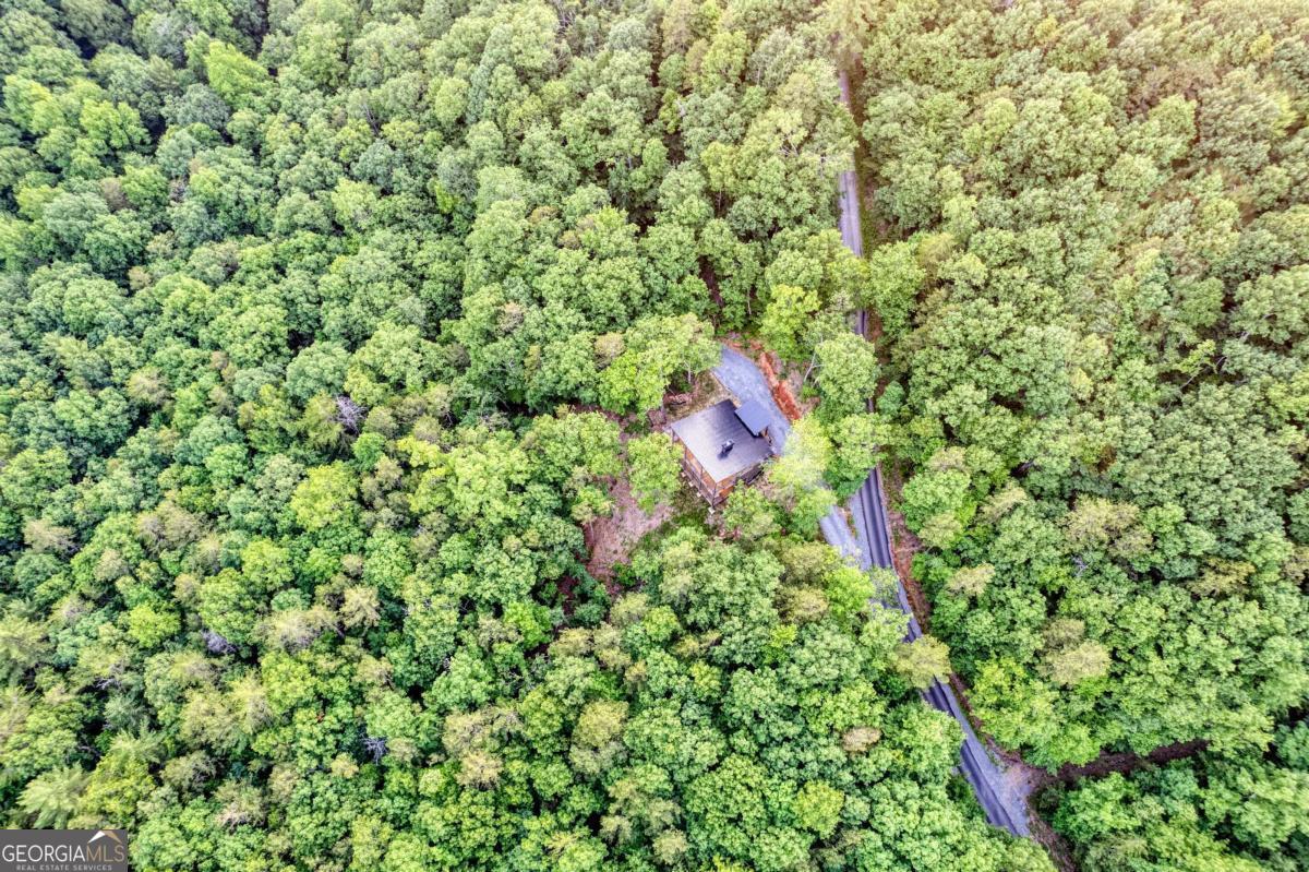 281 Raintree Bend Blue Ridge GA 30513