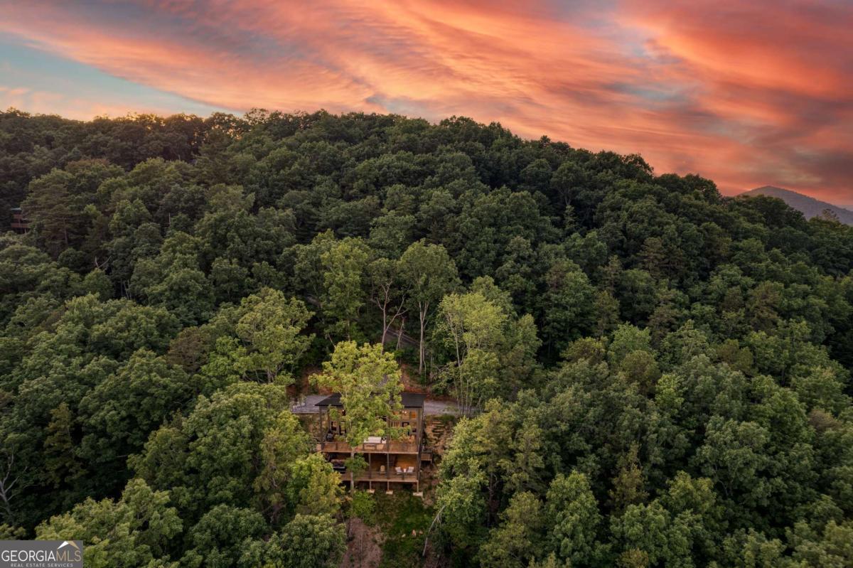 281 Raintree Bend Blue Ridge GA 30513