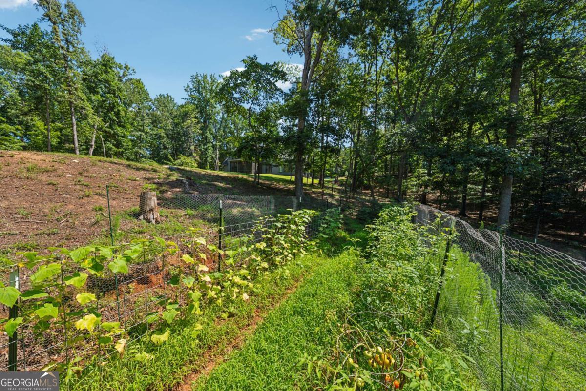 3394 Robinson Road Gainesville GA 30506