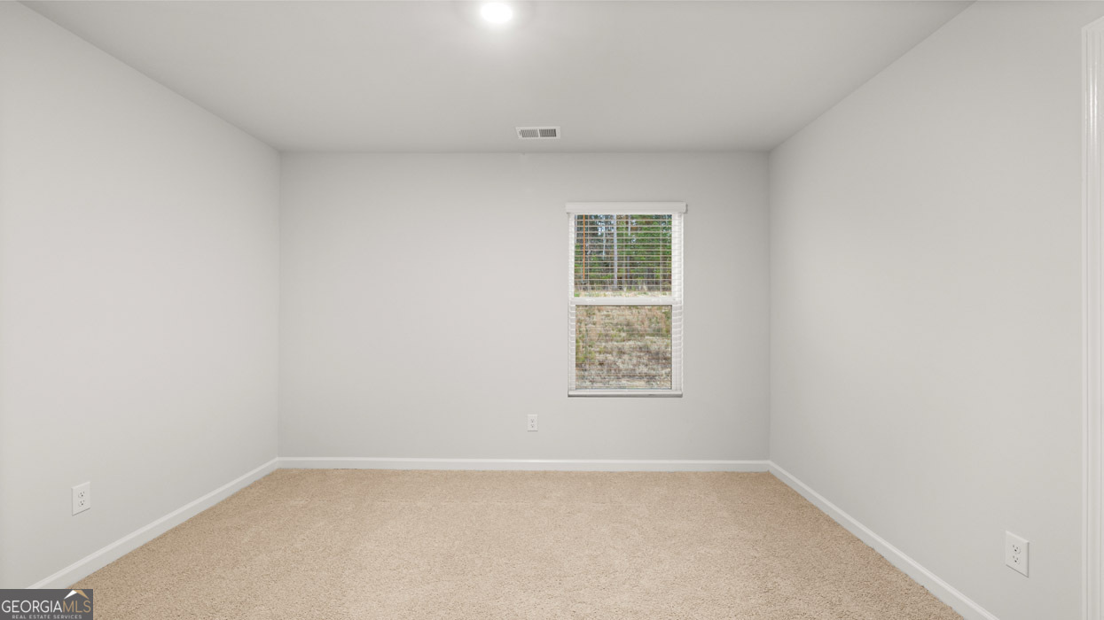 11974 Aukerman Way Hampton GA 30228