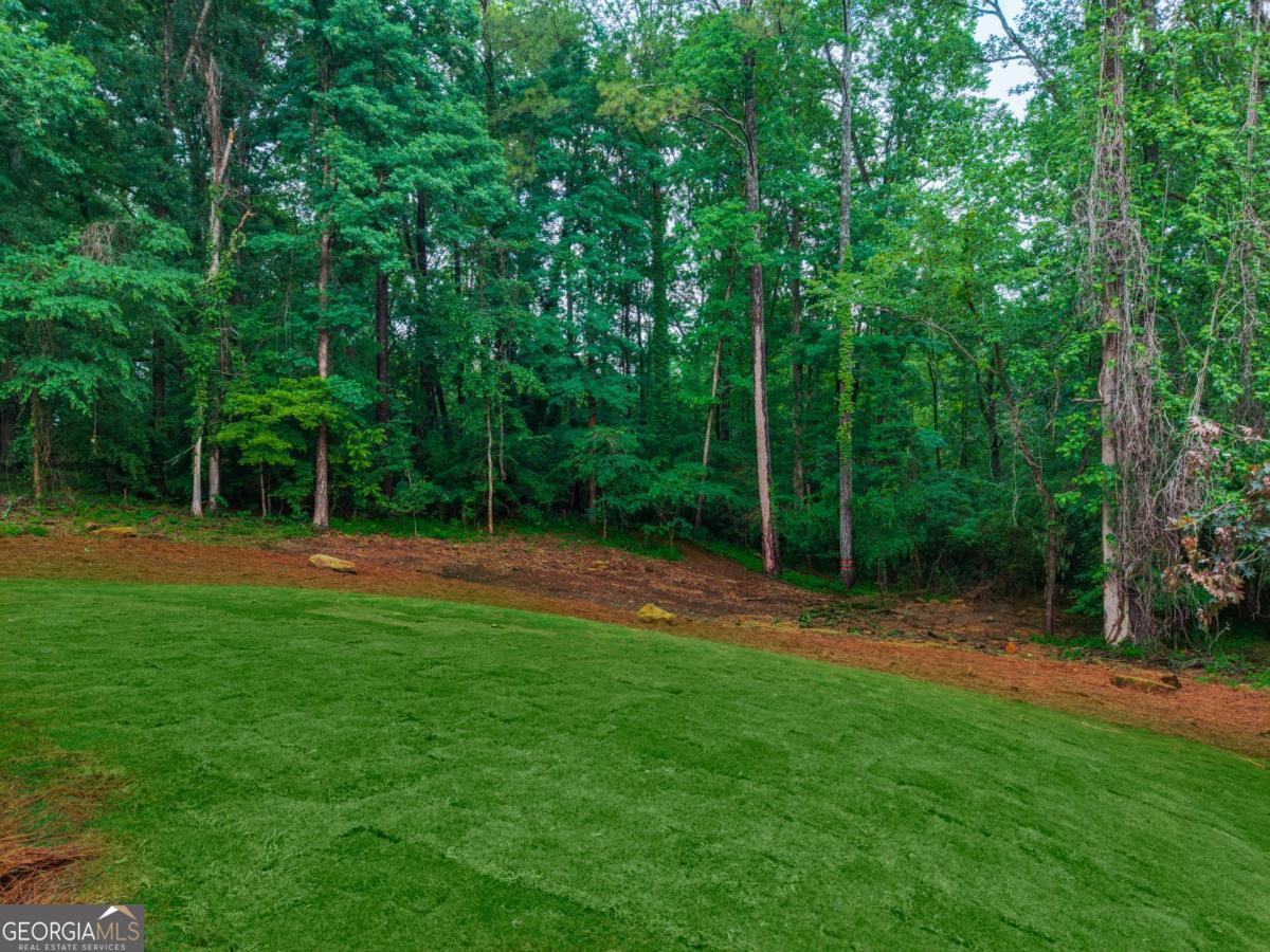 315 River Bluff Drive Woodstock GA 30188