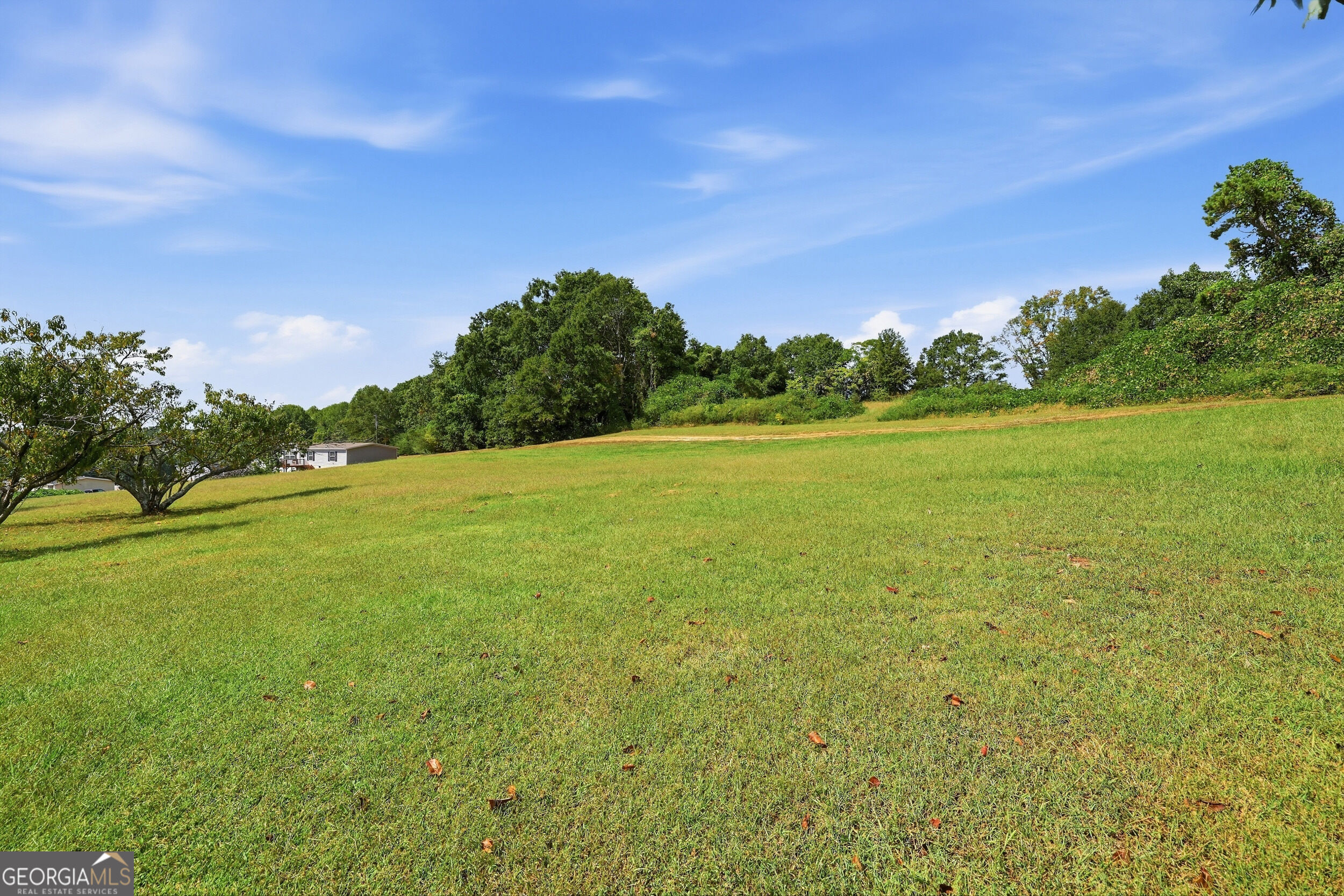 217 Combs Avenue Martin GA 30557