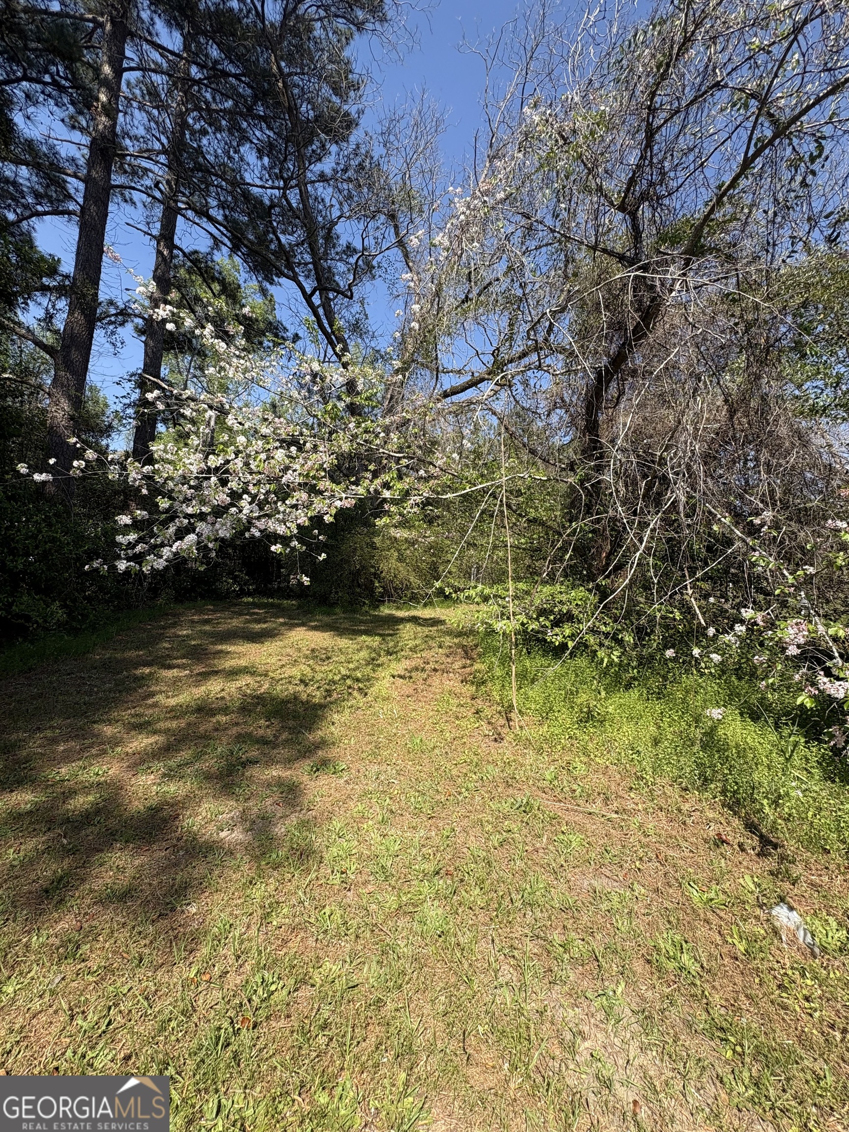 2585 New Clinton Road Macon GA 31211