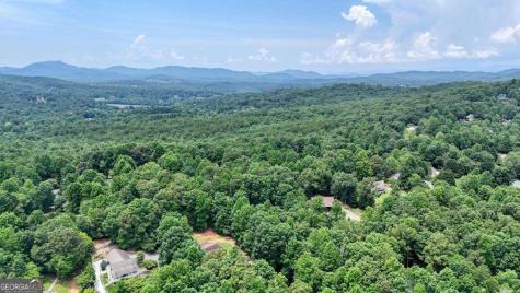 2087 Wood Lake Lane Young Harris GA 30582