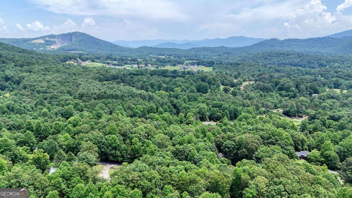 2087 Wood Lake Lane Young Harris GA 30582