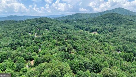 2087 Wood Lake Lane Young Harris GA 30582