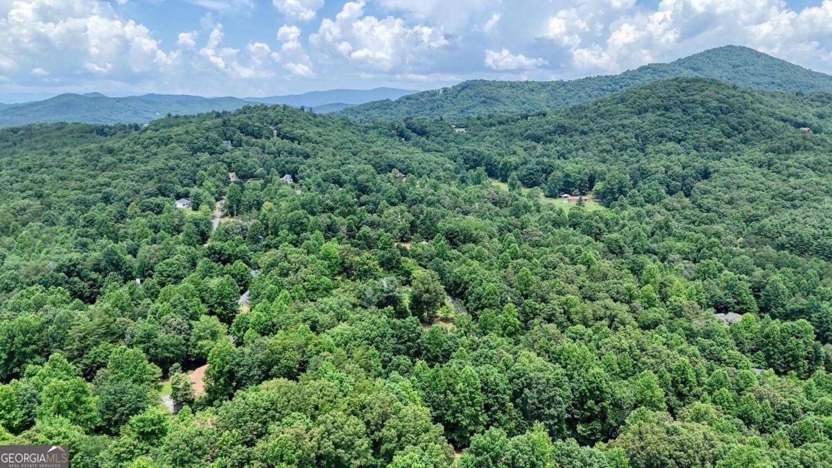 2087 Wood Lake Lane Young Harris GA 30582