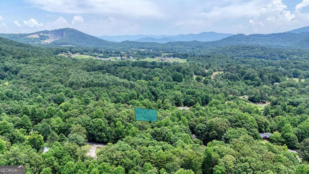 2087 Wood Lake Lane Young Harris GA 30582