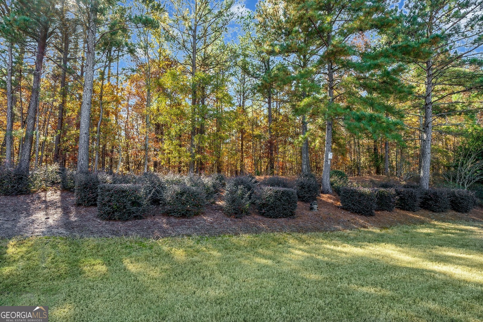 1081 Spring Station Road Greensboro GA 30642