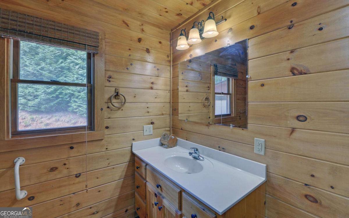 230 Pine Forest Loop Blue Ridge GA 30513