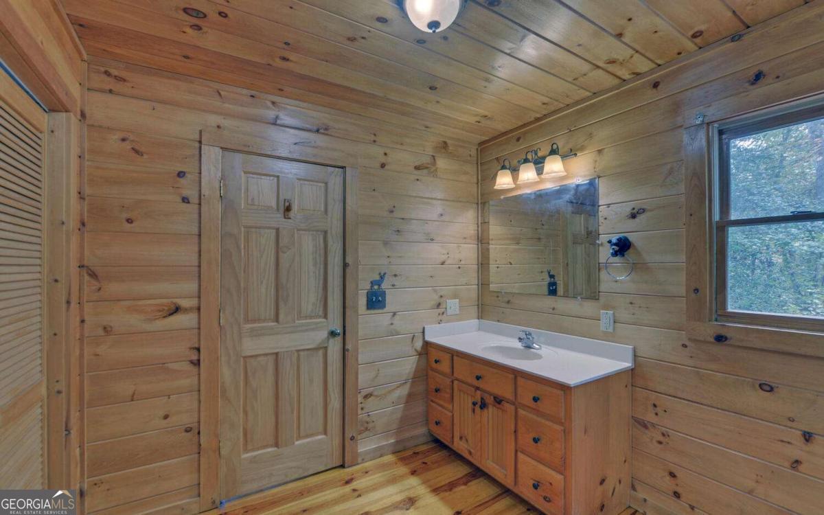 230 Pine Forest Loop Blue Ridge GA 30513