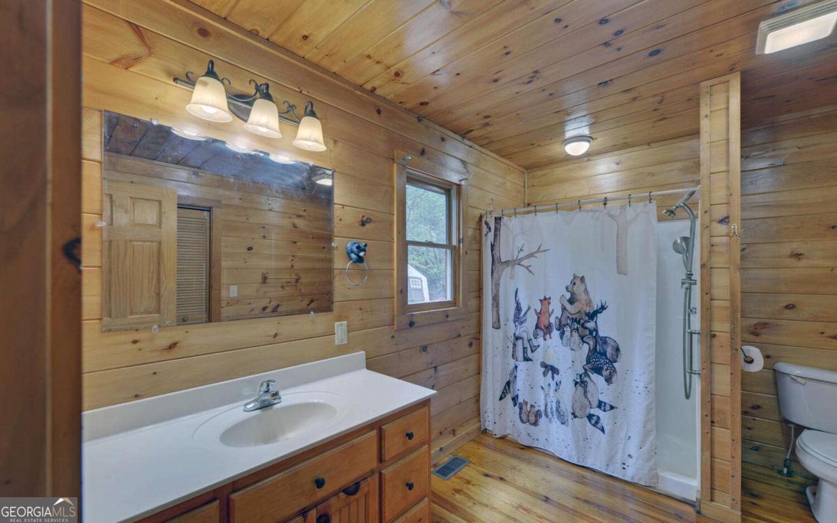 230 Pine Forest Loop Blue Ridge GA 30513