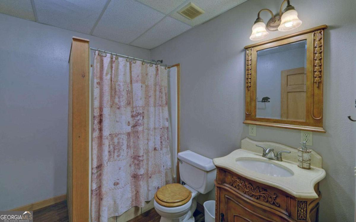 230 Pine Forest Loop Blue Ridge GA 30513