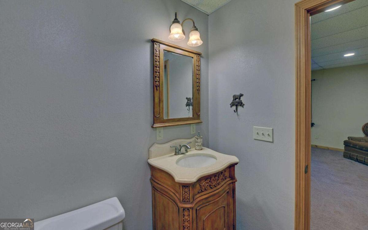 230 Pine Forest Loop Blue Ridge GA 30513