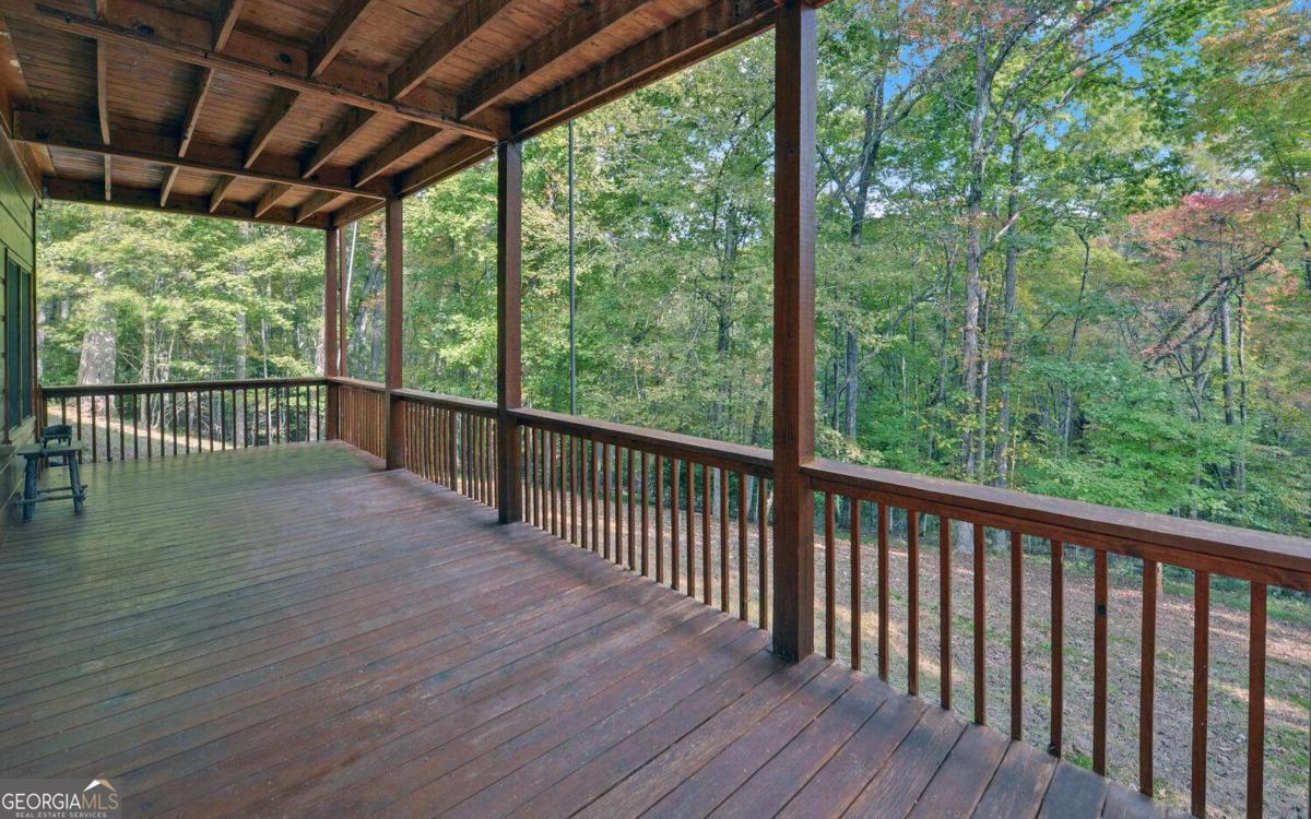 230 Pine Forest Loop Blue Ridge GA 30513