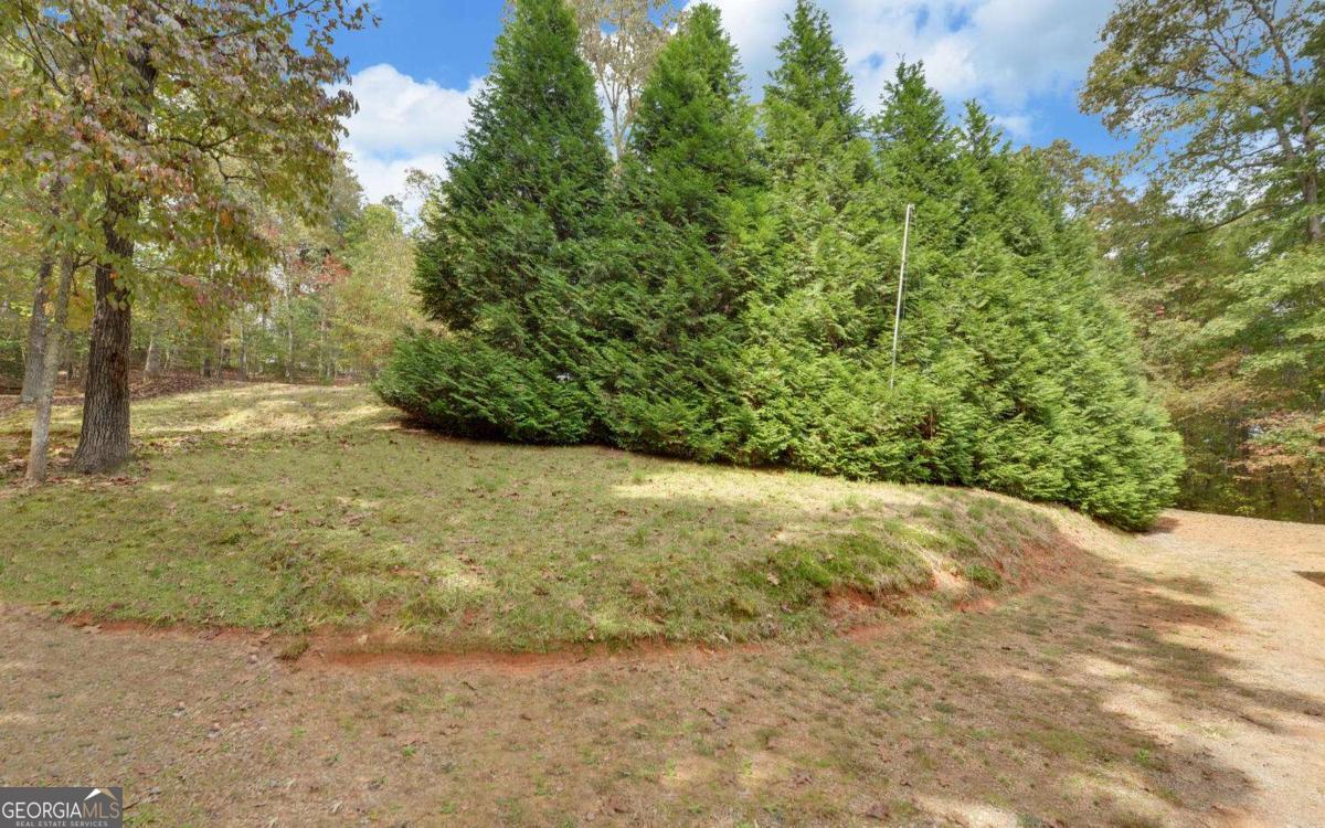 230 Pine Forest Loop Blue Ridge GA 30513