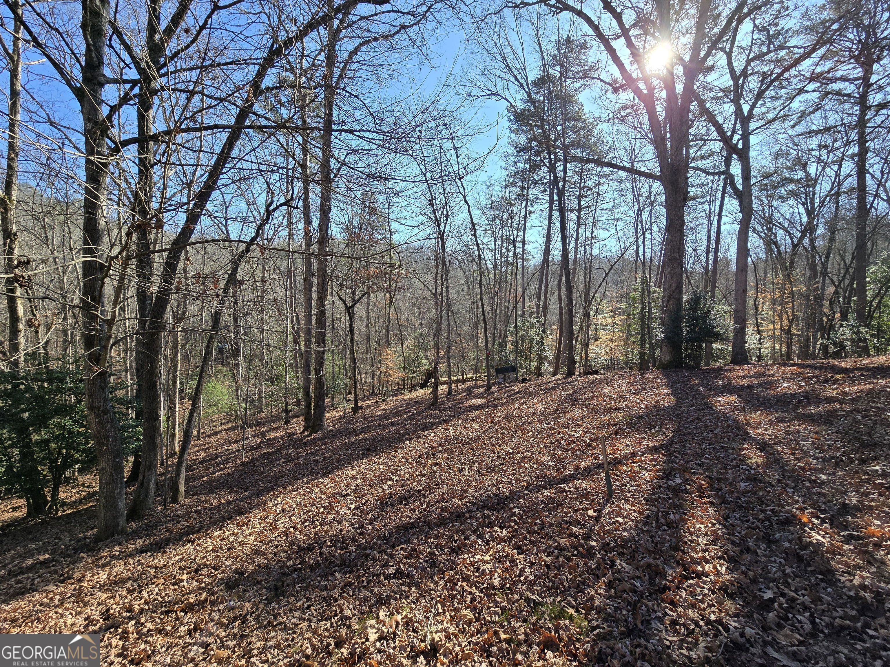 230 Pine Forest Loop Blue Ridge GA 30513
