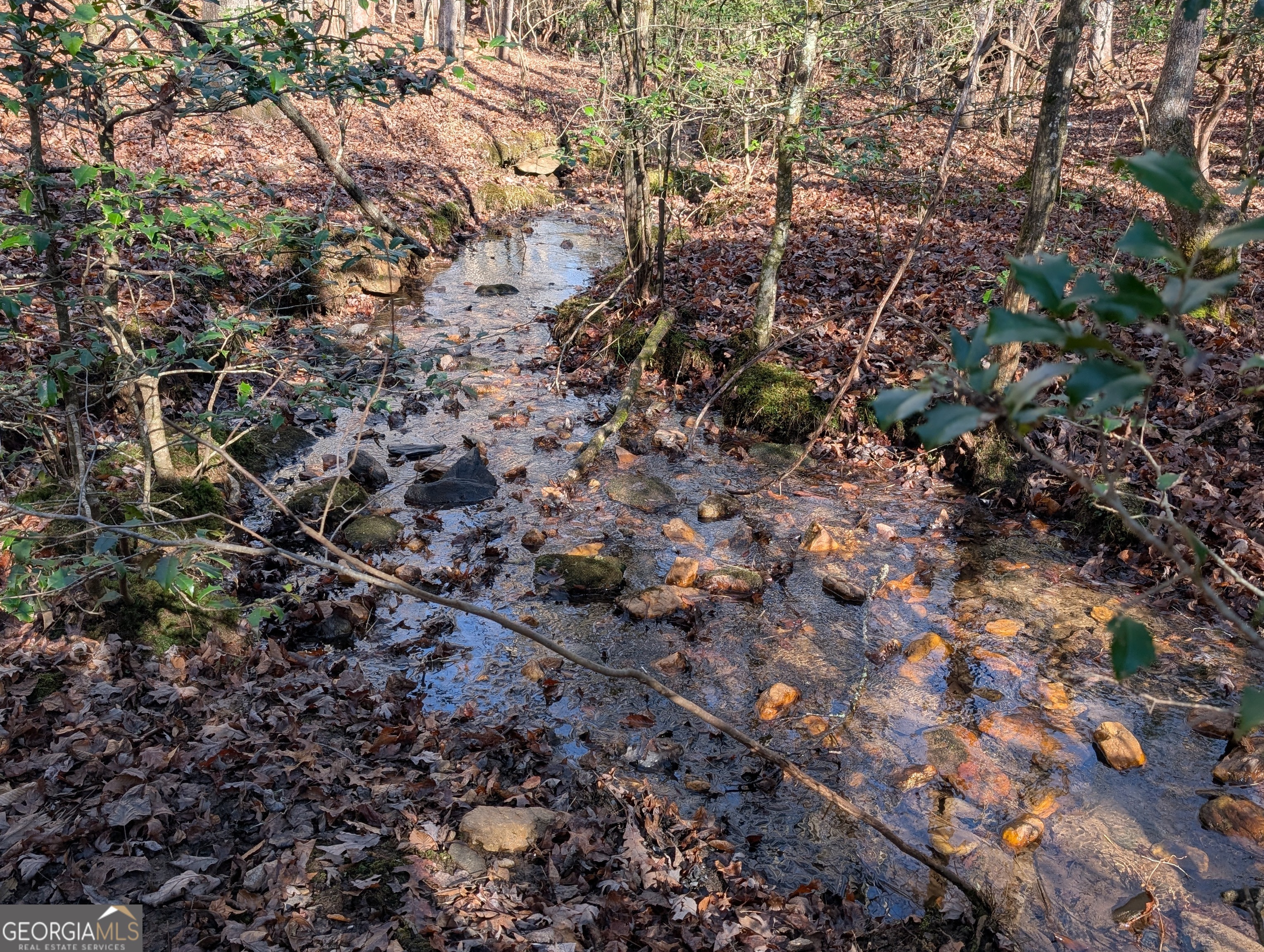 230 Pine Forest Loop Blue Ridge GA 30513